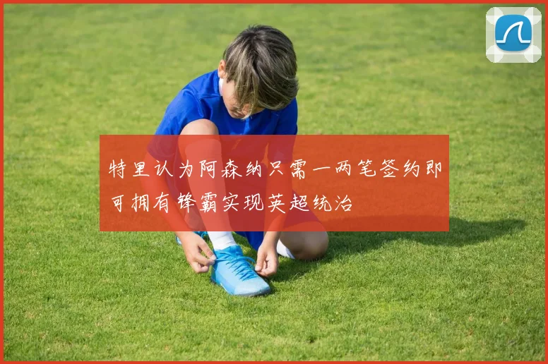 特里认为阿森纳只需一两笔签约即可拥有锋霸实现英超统治